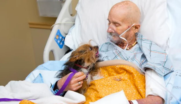 Veterano saluta in ospedale il suo cane prima di morire
